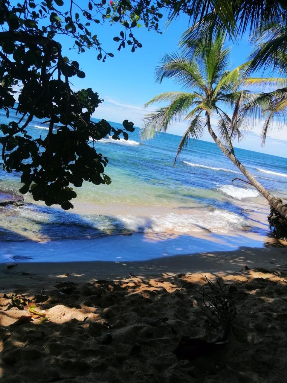 Hotel Boutique D Angelo Manzanillo  Ngoại thất bức ảnh