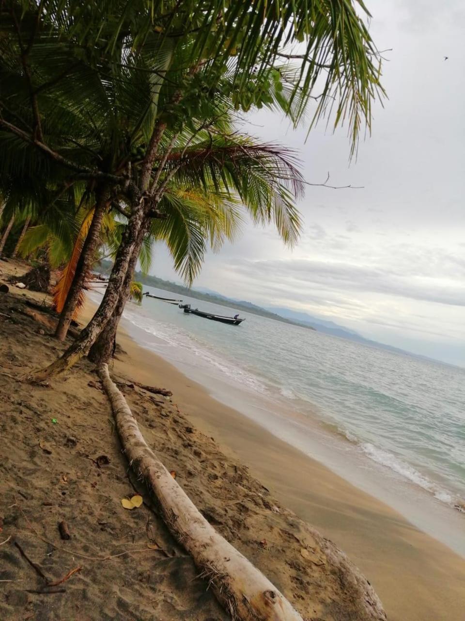 Hotel Boutique D Angelo Manzanillo  Ngoại thất bức ảnh